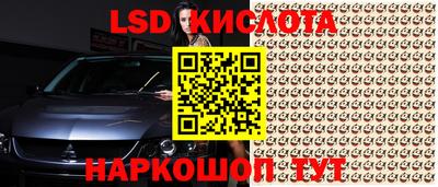 mdpv Владивосток