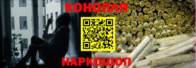 mdpv Владивосток