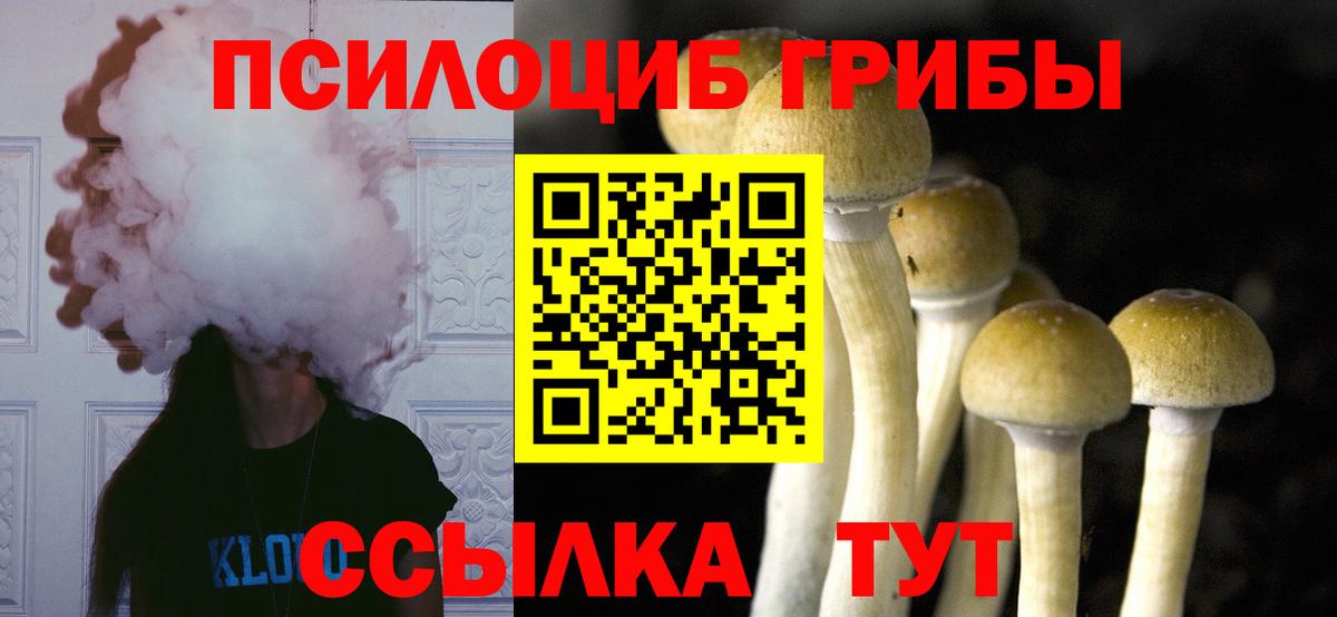 Галлюциногенные грибы MAGIC MUSHROOMS  Псилоцибиновые грибы GOLDEN TEACHER  Нефтеюганск  цены наркотик  Вход с VPN 
